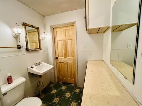 312 E Marshall St, Alma, MI 48801 photo 32