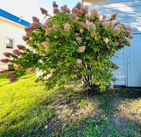 312 E Marshall St, Alma, MI 48801 photo 13