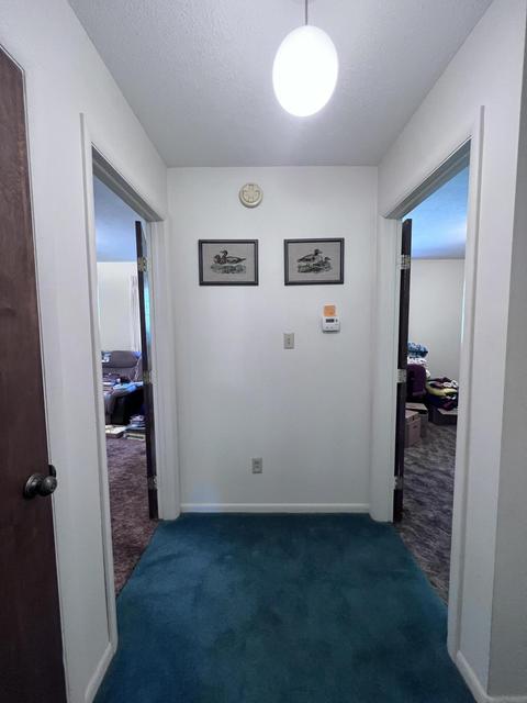 5929 Mccain Rd, Jackson, MI 49201 photo 21