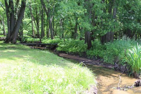 5301 River Rd, Evart, MI 49631 photo 4