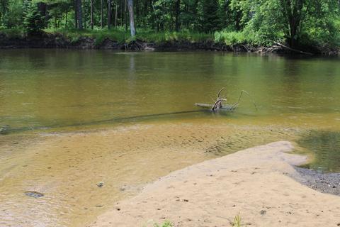 5301 River Rd, Evart, MI 49631 photo 3