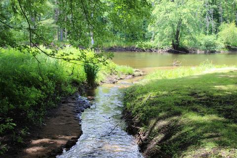 5301 River Rd, Evart, MI 49631 photo 6