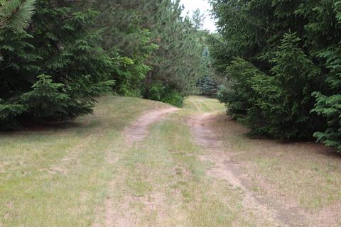 5301 River Rd, Evart, MI 49631 photo 22