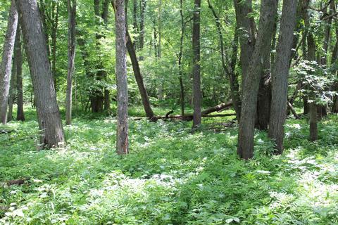5301 River Rd, Evart, MI 49631 photo 17