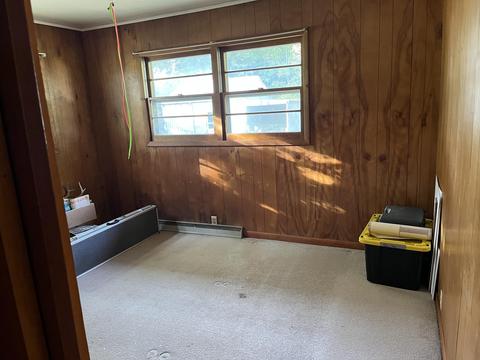 tbd W Stanton Rd, Stanton, MI 48888 photo 31