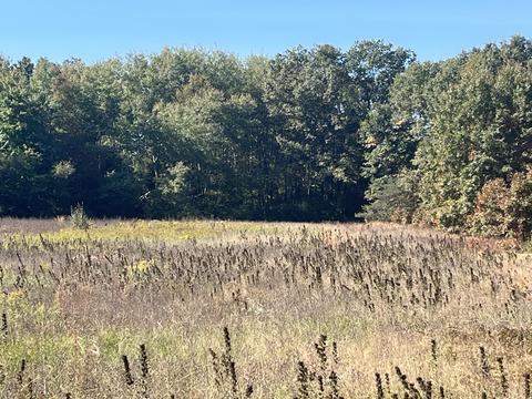 tbd W Stanton Rd, Stanton, MI 48888 photo 7