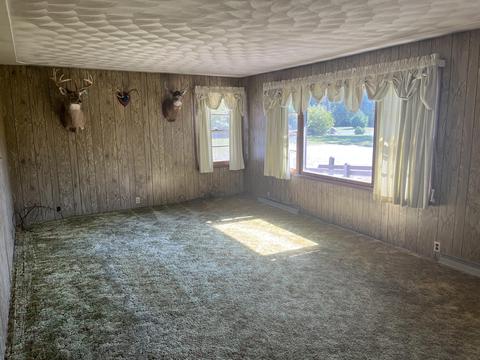 tbd W Stanton Rd, Stanton, MI 48888 photo 21