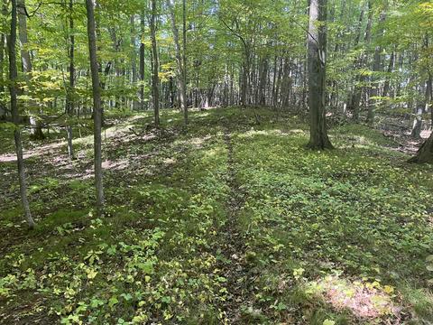 tbd W Stanton Rd, Stanton, MI 48888 photo 6