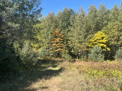 tbd W Stanton Rd, Stanton, MI 48888 photo 5