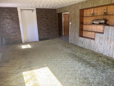 tbd W Stanton Rd, Stanton, MI 48888 photo 23