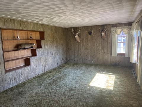 tbd W Stanton Rd, Stanton, MI 48888 photo 22