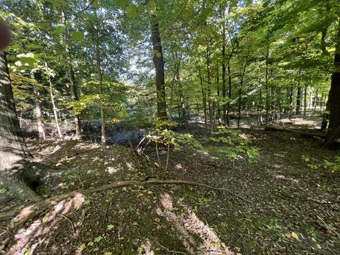 lot55 Creekwood Dr, South Haven, MI 49090