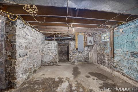 420 E Bridge St, Lyons, MI 48851 photo 28