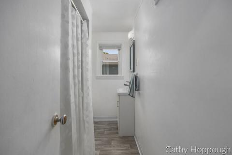 420 E Bridge St, Lyons, MI 48851 photo 19