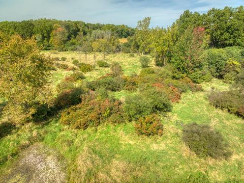 6850 Carter Rd, Spring Arbor, MI 49283 photo 48
