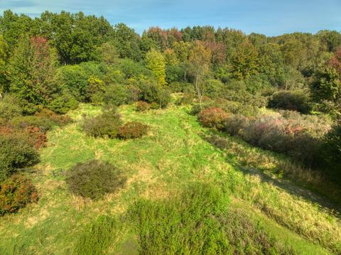 6850 Carter Rd, Spring Arbor, MI 49283 photo 47