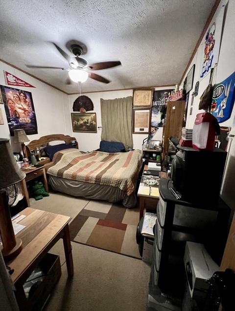 1310 N Apple Dr, White Cloud, MI 49349 photo 13