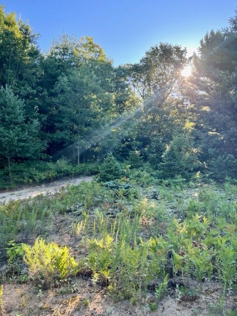 1310 N Apple Dr, White Cloud, MI 49349 photo 20