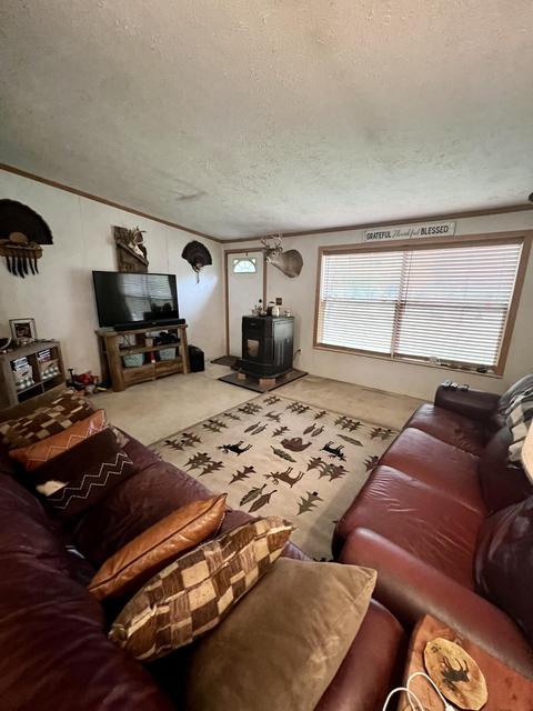 1310 N Apple Dr, White Cloud, MI 49349 photo 2