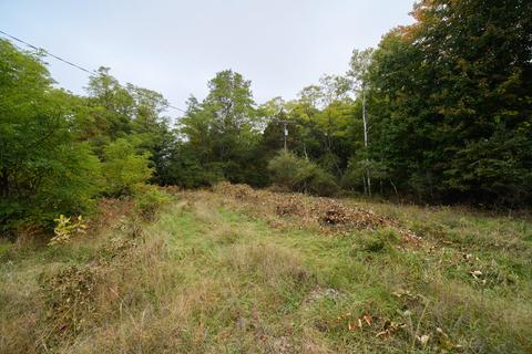 354 E Preuss Rd, Manistee, MI 49660 photo 49