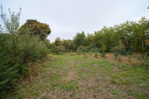 354 E Preuss Rd, Manistee, MI 49660 photo 52