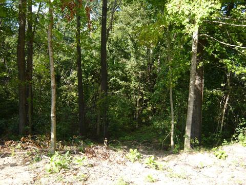 3048 Totem Trl, Reading, MI 49274 photo 17