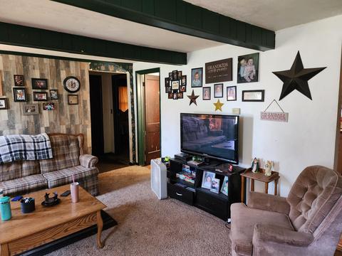 331 W Bridge St, Lyons, MI 48851 photo 12