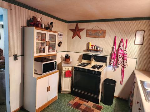 331 W Bridge St, Lyons, MI 48851 photo 8
