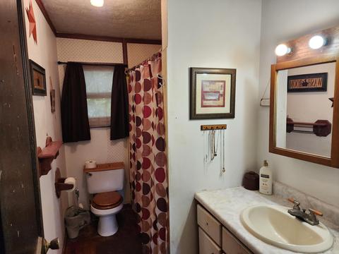331 W Bridge St, Lyons, MI 48851 photo 18