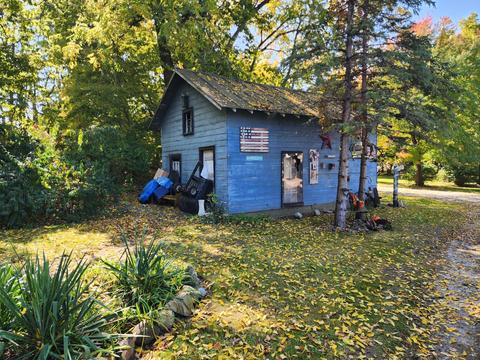 331 W Bridge St, Lyons, MI 48851 photo 23