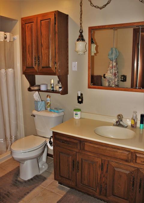 707 Coral Rd NE, Edmore, MI 48829 photo 18