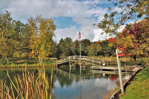 707 Coral Rd NE, Edmore, MI 48829 photo 33