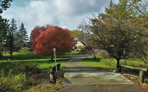 707 Coral Rd NE, Edmore, MI 48829 photo 31