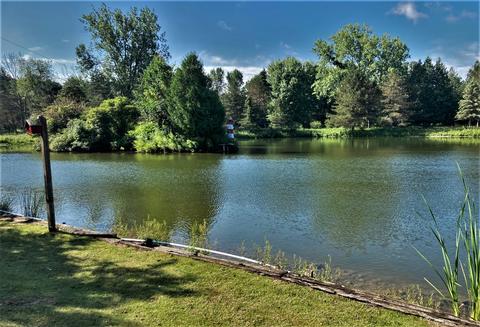 707 Coral Rd NE, Edmore, MI 48829 photo 43
