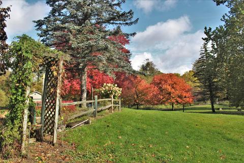 707 Coral Rd NE, Edmore, MI 48829 photo 28