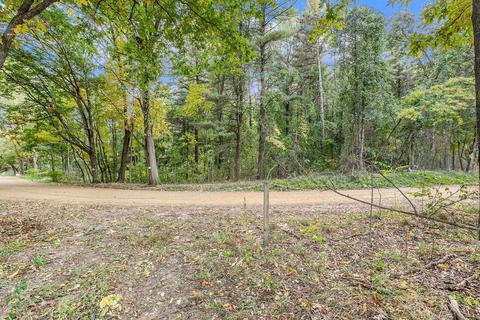 9313 N 43rd St, Augusta, MI 49012 photo 39