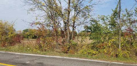 2176 E Glendora Rd, Buchanan, MI 49107 photo 21