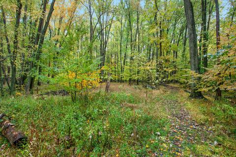 3885 Hidden Forest Dr, Dorr, MI 49323 photo 30