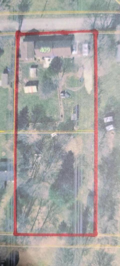 409 E Catherine St, Bellevue, MI 49021 photo 18