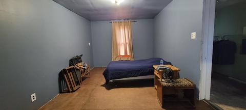 409 E Catherine St, Bellevue, MI 49021 photo 6