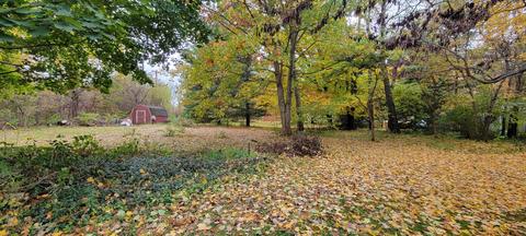 409 E Catherine St, Bellevue, MI 49021 photo 16