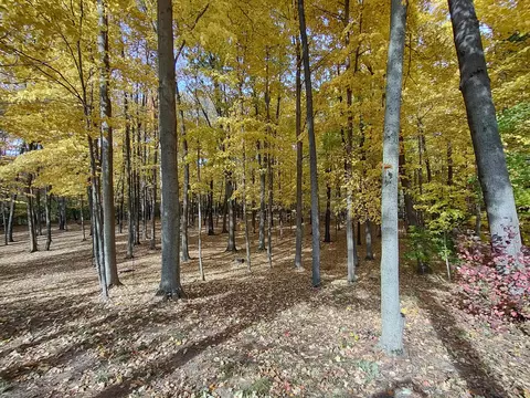2945 Chamberlain Rd, Buchanan, MI 49107 photo 36
