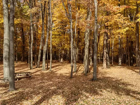 2945 Chamberlain Rd, Buchanan, MI 49107 photo 35
