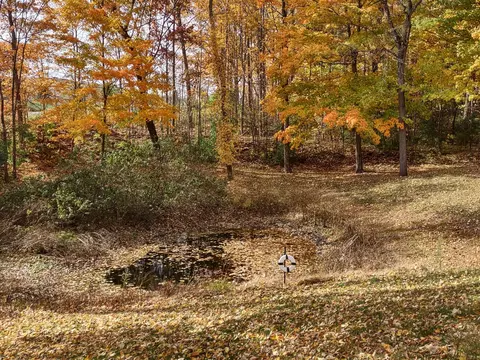 2945 Chamberlain Rd, Buchanan, MI 49107 photo 33
