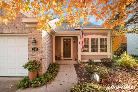 644 Abbey Mill Dr SE, Ada, MI 49301 photo 2