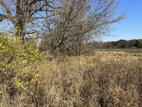 21000 Junction Rd, Bellevue, MI 49021 photo 8