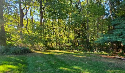 13858 E C Ave, Augusta, MI 49012 photo 6