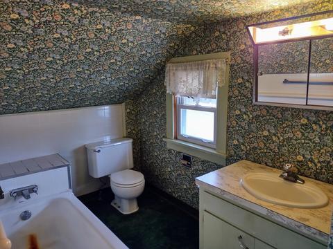 329 Union St, Ithaca, MI 48847 photo 22