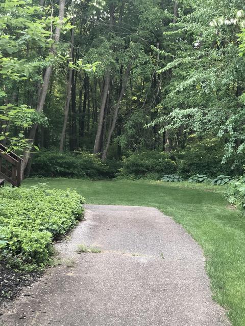 3225 Bauer Rd, Jenison, MI 49428 photo 47