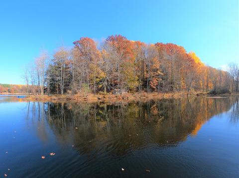 Vl S Eden Lake Road, Custer, MI 49405